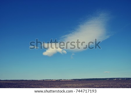cloud in the form of an angel's wing