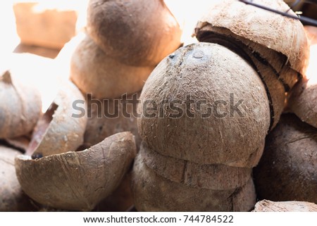Textured background of brown coconuts