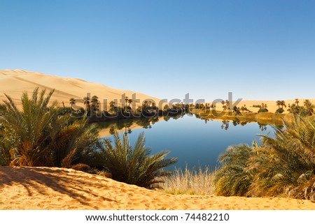 Umm al-Ma Lake - Idyllic oasis in the Awbari Sand Sea, Sahara Desert, Libya Royalty-Free Stock Photo #74482210