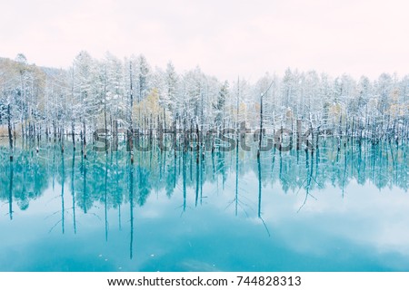 Blue Pond Hokkaido