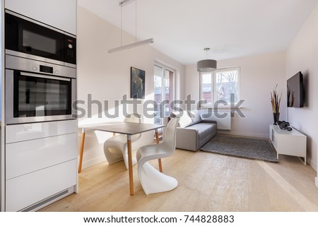 Modern studio flat with table, chairs, couch and tv Royalty-Free Stock Photo #744828883