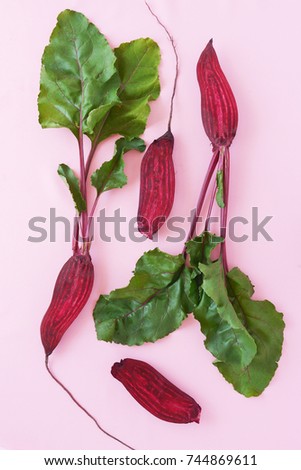 Beet with green tops in a cut on a pink background. Beetroot composition.
Top view, flat lay.