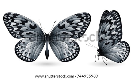 Set of colorful realistic butterflies. Front and side view. Vector 3D illustration