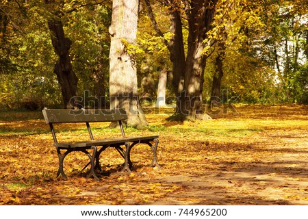 bench with cast iron legs standing in the autumn, a park lit by warm autumn sun