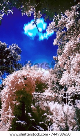 infrared photo of trees in the garden