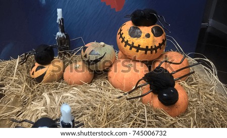 Pumpkins, spiders and Halloween on straw