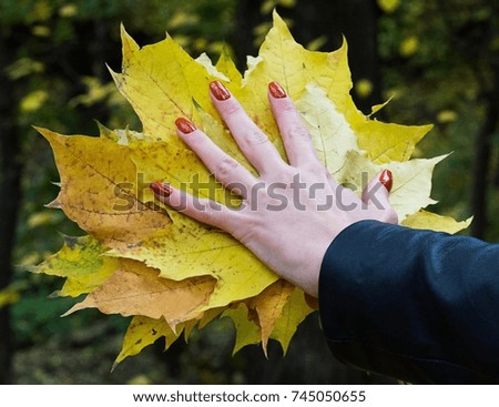 Autumn leaves at hand  