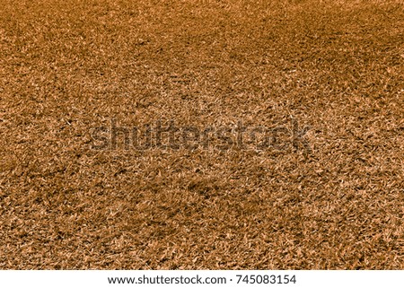 Purple Golf course. Texture of grass. High resolution background