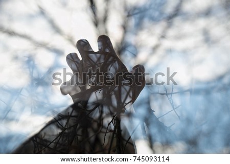 A triple exposure of a reaching hand, twigs, and sunlight shining through bare branches in winter. Photographed in Groton, MA in January 2016.