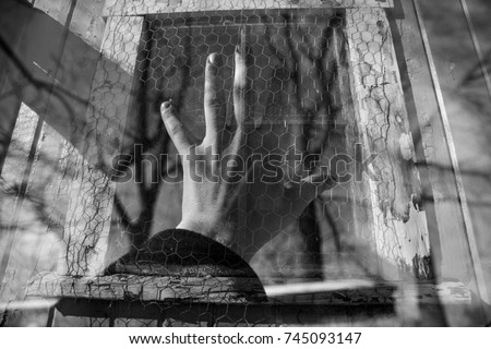 Triple exposure of a hand, trees, and a chicken coop window. Photographed in Groton, MA in January 2016.