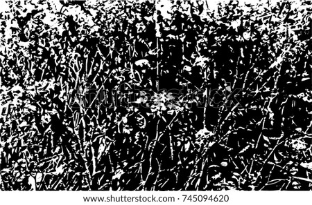 Print distress floral background in black and white texture with spots, scratches and lines. Abstract vector illustration