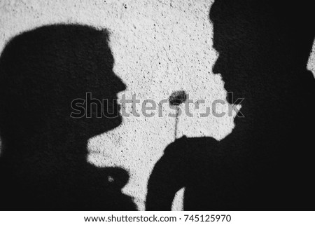 Shadow of couple standing with a dandelion