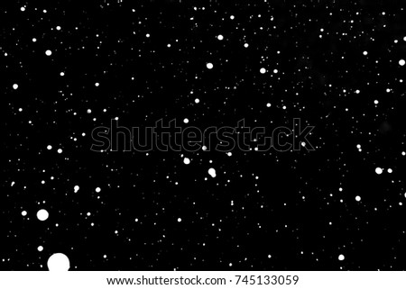 Falling snowflakes isolated on black background - Design element. Christmas snow.