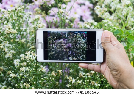 Woman taking photo of beautiful flower background.