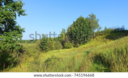Summer landscape with trees along path on  slope of the meadow and blue sky.