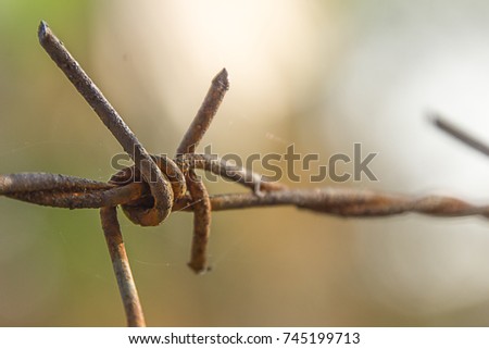 Close-up rust barbed wire with space to write text or make a back ground or wallpaper.