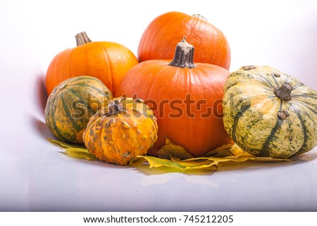 Many pumpkins and autumn leaves