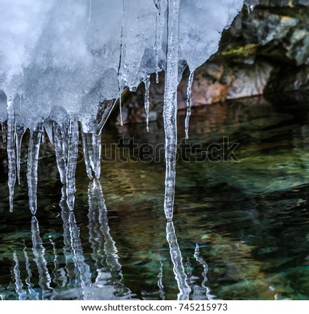 Icicles melt into arctic water