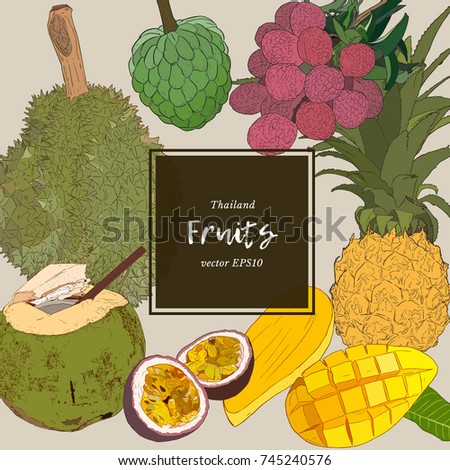 set of asian fruit- durian , coconut ,passion fruit, mango , pineapple, lychee and custard apple. hand draw sketch vector.