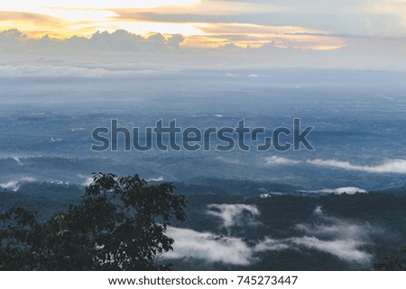 Cloudy sky with tree foreground at Larn Hin Pum in Phetchabun,Thailand.