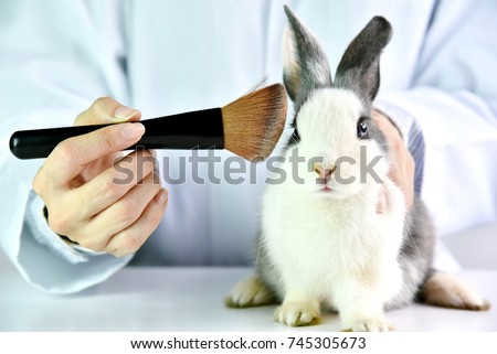 Cosmetics test on rabbit animal, Scientist or pharmacist do research chemical ingredients test on animal in laboratory, Cruelty free and stop animal abuse concept. Royalty-Free Stock Photo #745305673
