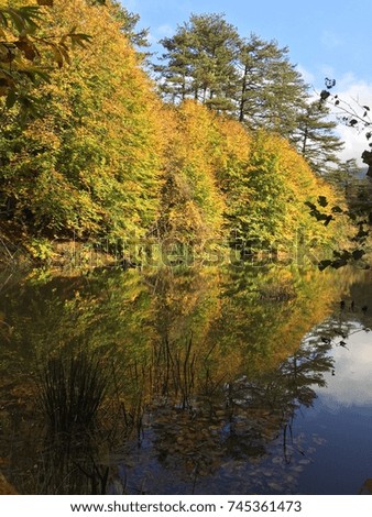 Autumn Landscape/Autumn Landscape