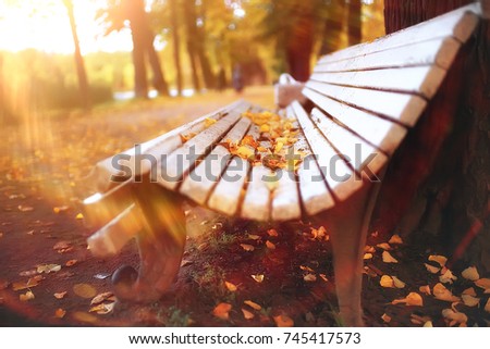 bench in autumn landscape / city park with orange trees on the branches, a street bench in autumn forest landscape,  alley. Concept of weekend in the city park