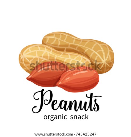 Vector peanuts in cartoon style for template label, packaging snackand emblem farmer market design. Royalty-Free Stock Photo #745425247