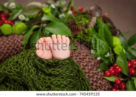 Close up picture of new born baby feet on knitted plaid and flowers, berries, mushrooms