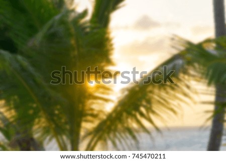 Blurred background with Coco palm leaf and crowns on blur sunset sky background