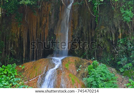 Small waterfall and roots cover the cave