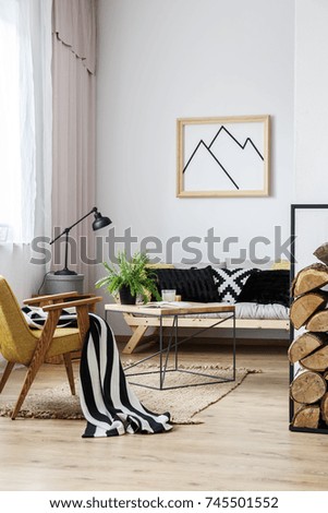 Living room with sofa and armchair decorated with black and white blanket and cushions