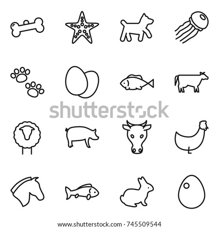 thin line icon set : bone, starfish, dog, jellyfish, pets, eggs, fish, cow, sheep, pig, chicken, horse, rabbit, egg