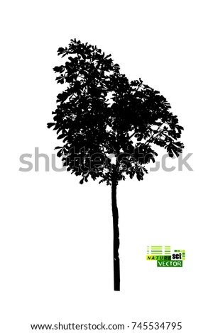 Tree silhouette object. chestnut. Vector