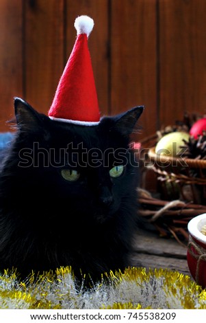 happy magic holiday merry christmas new year black cat santa hat
