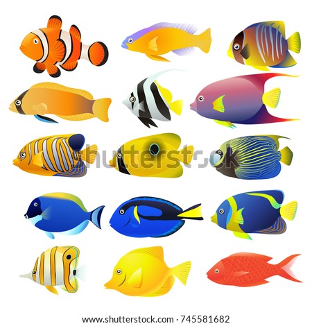 Sea fish collection isolated on white background. Vector illustration
