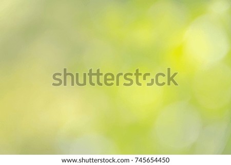 Abstract blur sunny light with bright green nature and bokeh texture background, selective focus