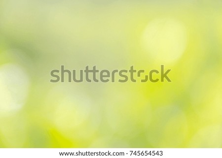 Abstract blur sunny light with bright green nature and bokeh texture background, selective focus