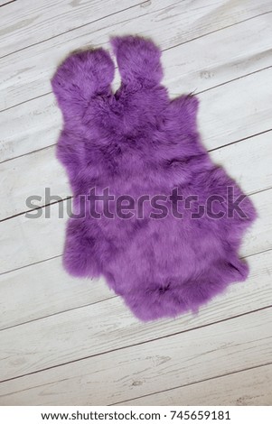 rabbit fur purple. purple fur. the rabbit skin