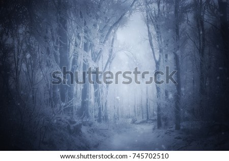 fantasy forest with snow falling in winter Royalty-Free Stock Photo #745702510
