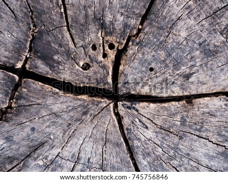 Dark Wooden background close up