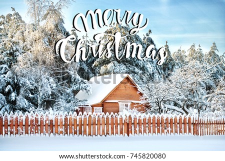 Christmas postcard. Winter morning in village with snow covered trees. Colorful outdoor scene celebration concept.