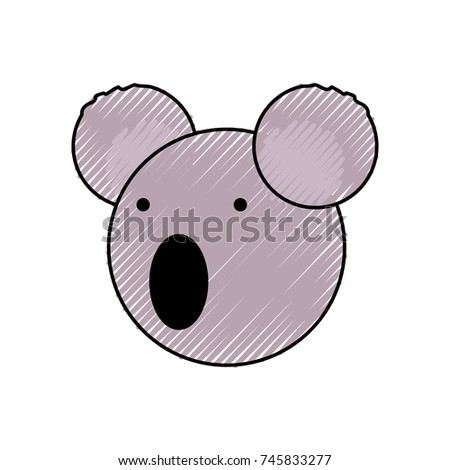 koala bear vector illustration