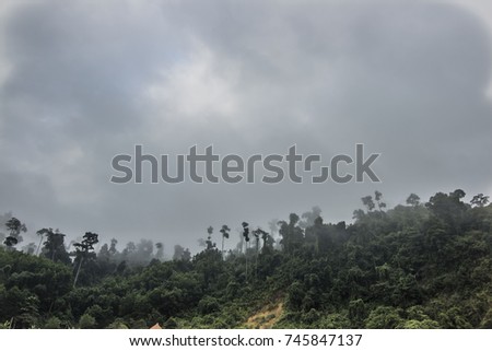 View on Vietnamese rain forest and flooded river