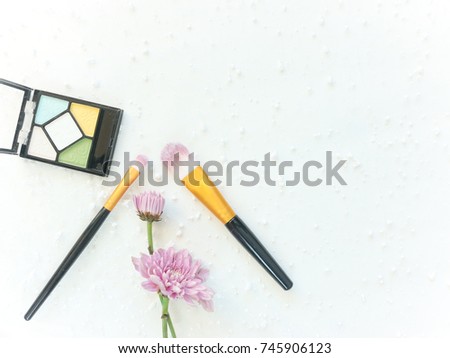Cosmetic of Eye shadow Palette and Eyeshadow brush make up