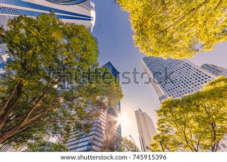 Urban building groups and trees