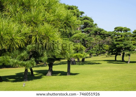 The Japanese park in tokyo japan image