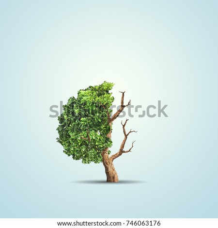 The concept image of ecology. Half alive and half dead tree. Environment concept Royalty-Free Stock Photo #746063176