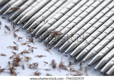macro of lice and eggs removing by stainless lice comb