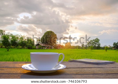 A front selective focus picture of a farmer's coffee cup in the morning sunrise beside rice field.
